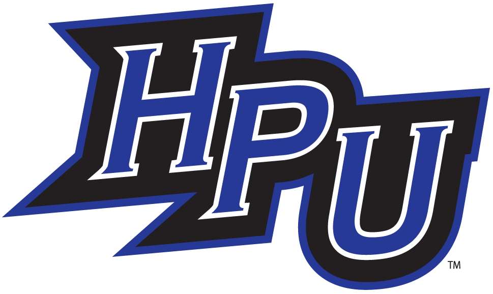High Point Panthers 2004-2011 Alternate Logo t shirts DIY iron ons v4